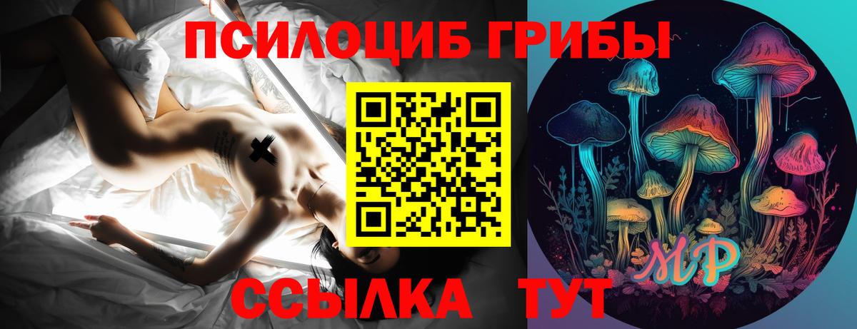 Псилоцибиновые грибы Psilocybine cubensis Рузаевка